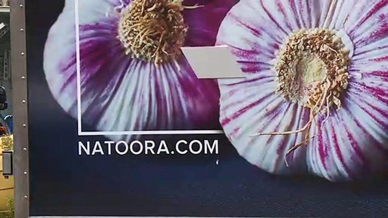 Brexit uncertainty worries ‘just-in-time’ businesses