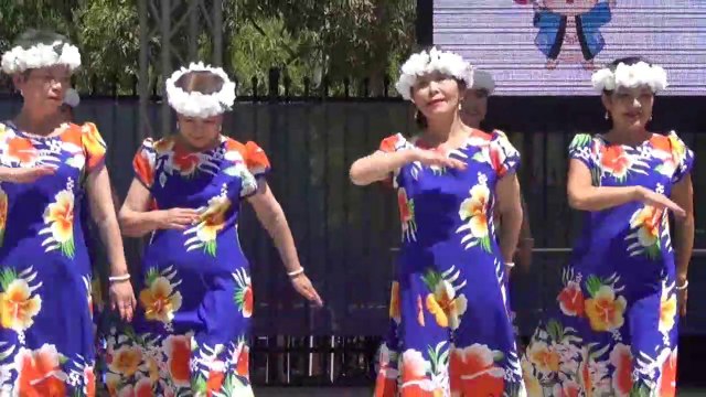 Matsuri Festival 2018, 3-14 , JCS Hula Aloha, Mosaic Japanese Folk Dance, Darling Harbour, Sydney 8 Dec 18