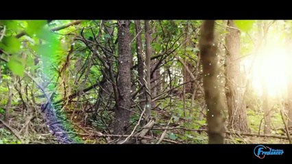 Antes Da Meia-Noite - Luciano Bahia e Luth