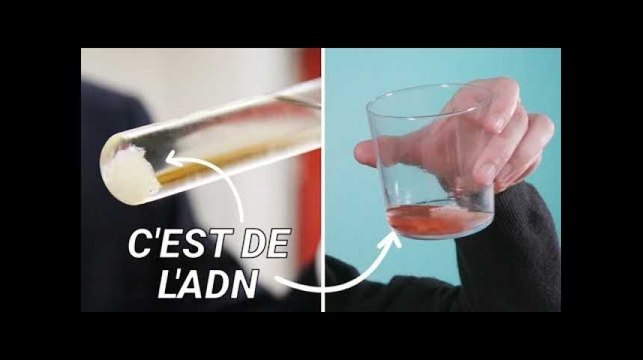 Téléthon 2018: ce tuto facile et rapide permet d’extraire son ADN