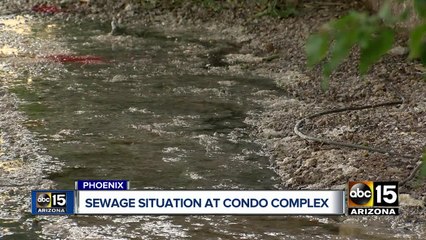Maricopa County orders Phoenix condo complex to clean up sewage