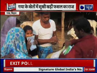 Bihar: गया के खेतों में सूखी खड़ी फसल का राज़