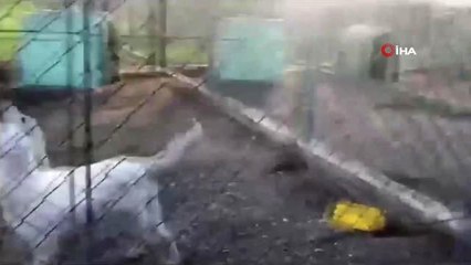 Bakan Pakdemirli, Tigem'e Bağlı Karacabey İşletmesinde İncelemelerde Bulundu