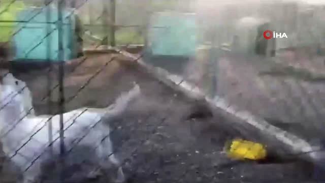 Bakan Pakdemirli, Tigem'e Bağlı Karacabey İşletmesinde İncelemelerde Bulundu