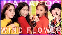 [HOT] MAMAMOO  - Wind Flower, 마마무 -  Wind Flower Show Music core 20181208