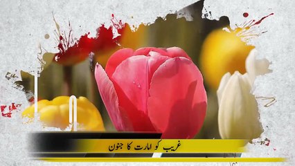 Unstoppable Struggle of Life | Stop and Think | Aamer Habib Report 121 | Public TV Media