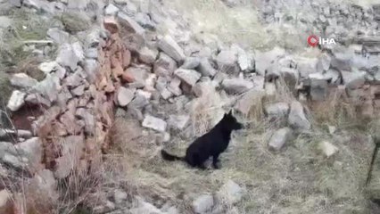 Çatak'ta Terör Operasyonu, 2 Sığınak Kullanılamaz Hale Getirildi