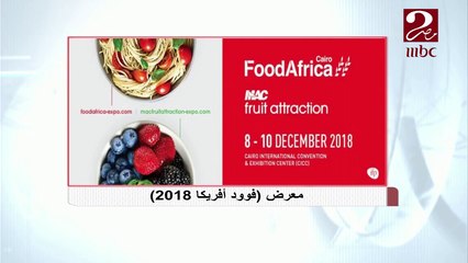 وزير الأثار يعلن عن كشف أثري جديد بجبانة سقارة السبت المقبل