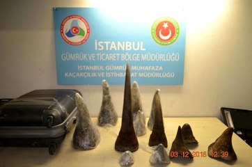 Atatürk Havalimanı'nda 12 Milyon TL Değerinde Gergedan Boynuzu Operasyonu