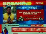 Jammu and Kashmir: Pakistan Violates ceasefire in Sunderbani, Indian army retaliates