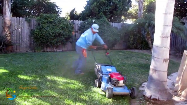 Lawn Mowing and Trimming services