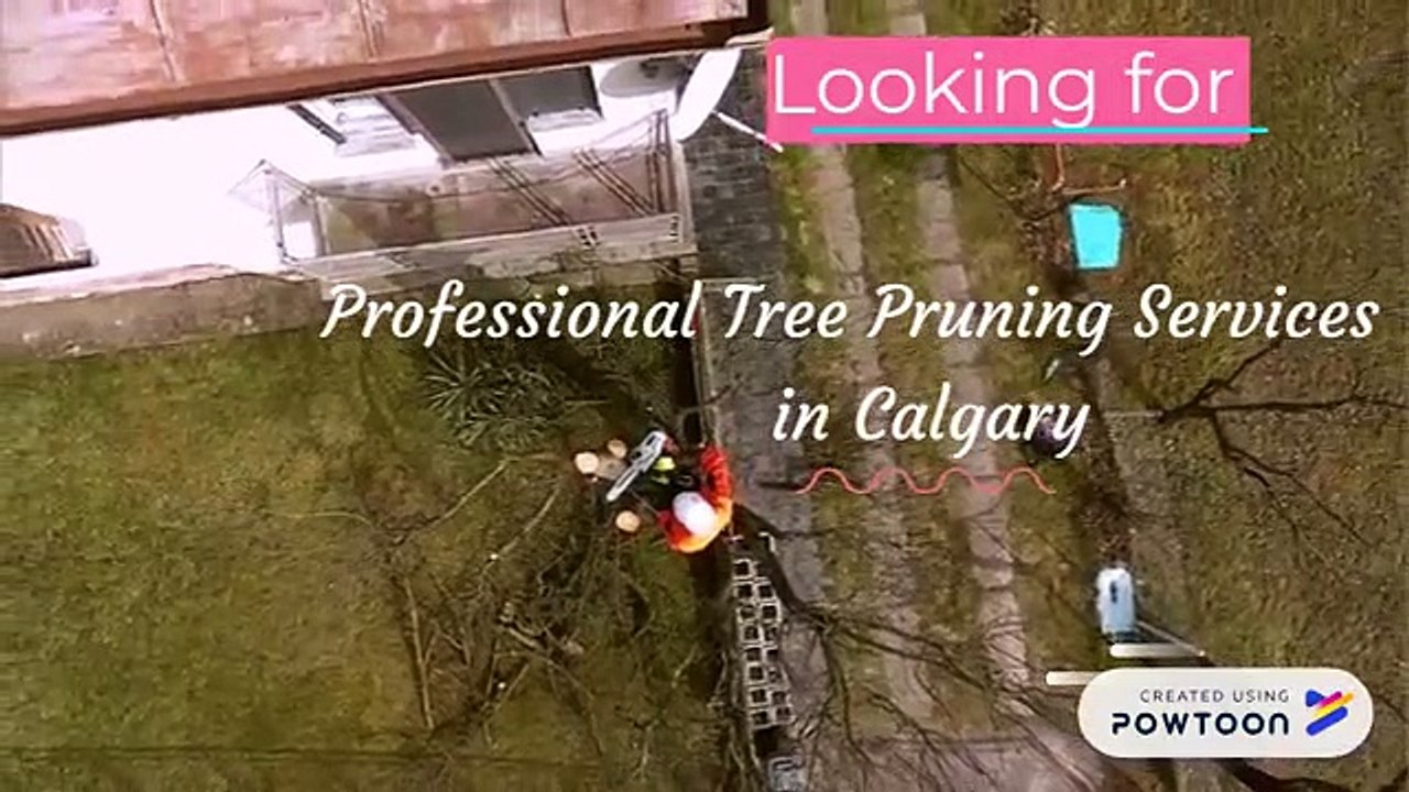 Professional Tree Pruning Services in Calgary