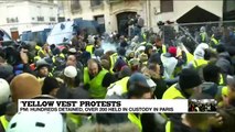 Yellow Vest protests: Tear gas, mass arrests as new rallies hit Paris
