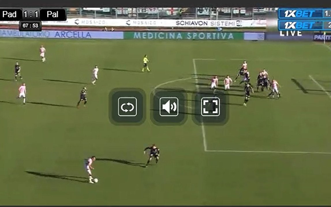 Slobodan Rajkovic    Amazing  Goal    (1:2)  Padova - US Palermo