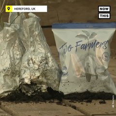 Compostable Chip Bags Are Made From Eucalyptus Leaves