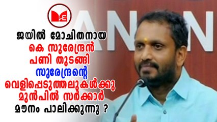 K Surendran | Sabarimala Protest | ജയിൽമോചിതനായ കെ സുരേന്ദ്രൻ പണിതുടങ്ങി.