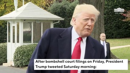 Télécharger la video: Trump Reacts To Cohen, Manafort Court Filings With All-Caps Tweet: 'NO COLLUSION!'