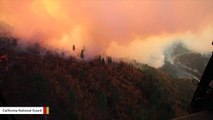 After Camp Fire, This Dog Waited Weeks For Owners To Return Home