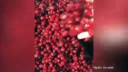 VMS Mứt chùm ruột