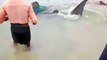 Huge fish catches by fisherman