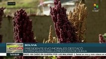 Bolivia inicia exportación de quinua a China