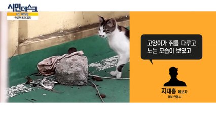 [12월 9일 시민데스크] 핫 제보영상 / YTN