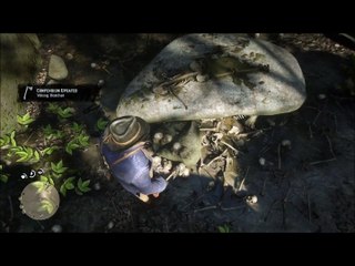 Red Dead Redemption 2 All hatchet locations