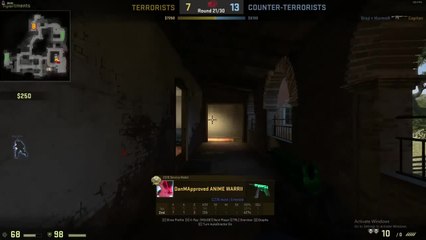 When the chicken is your most valuable player