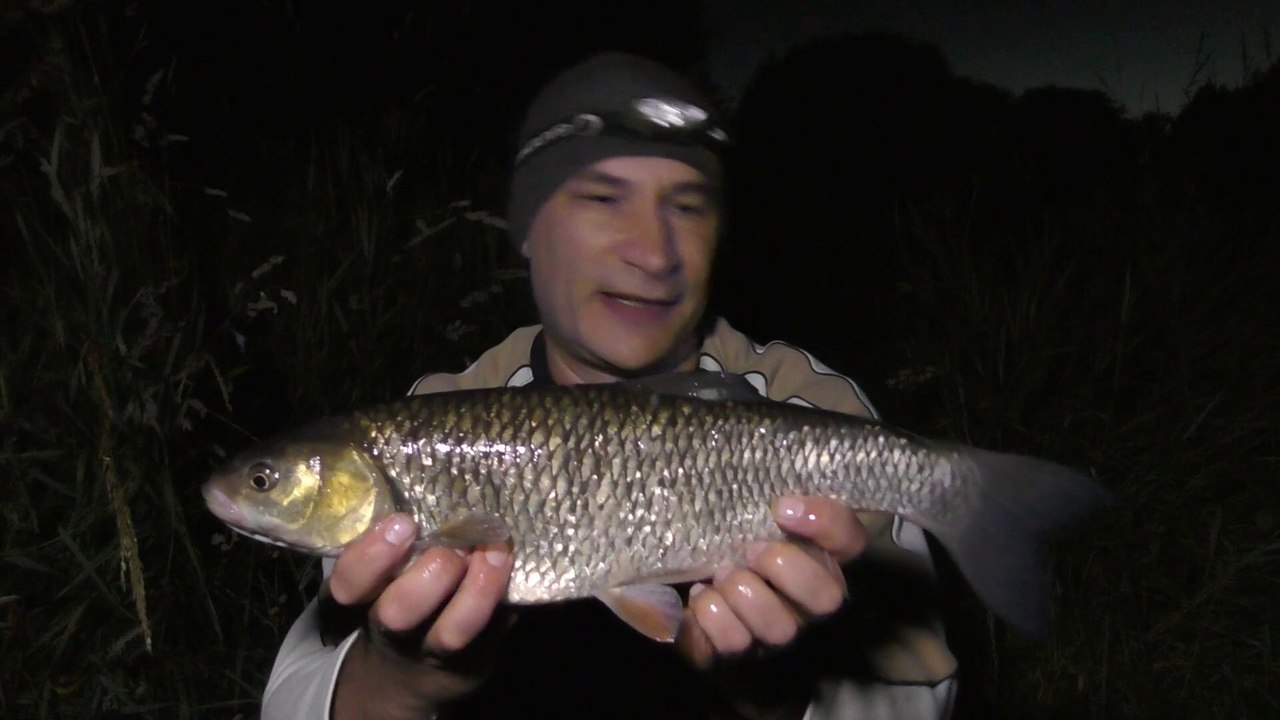 First Session Of The Season Above The Weir - Warwickshire Avon - 22/6/18 (Video  74)