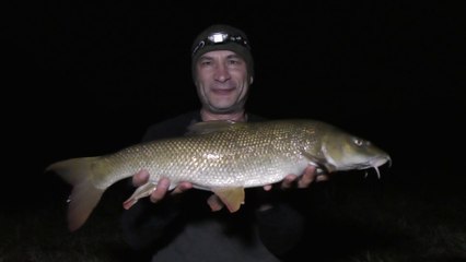 An Awesome Evening - BARBEL & CHUB - Warwickshire Avon - 29/6/18 (Video 76)