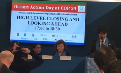 Komitmen Indonesia dalam Pengendalian Perubahan Iklim Global