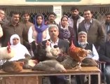 Geo News Reporter Amin Hafeez report on imran khan chicken and eggs scheme