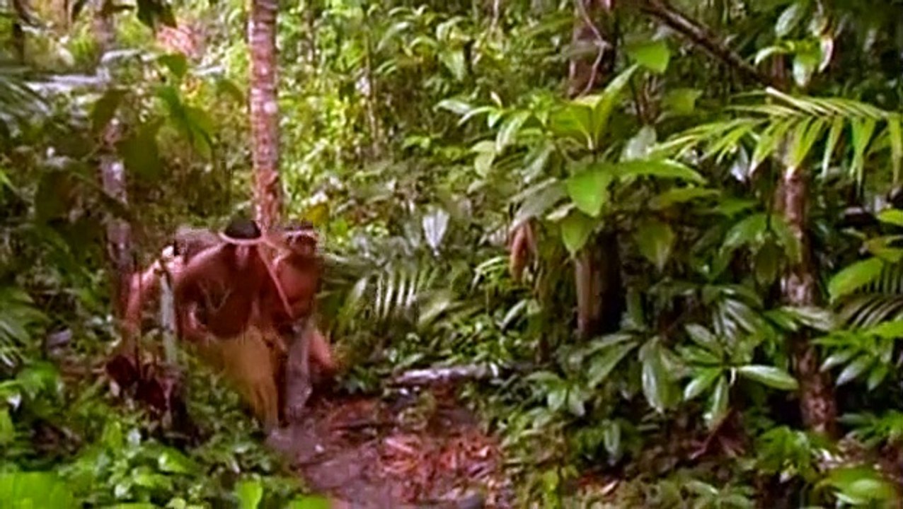 Wildboyz S02 E02