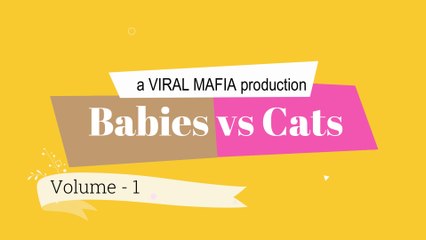 Babies VS Cats Compilation Volume - 01