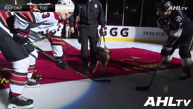 Ontario Reign (0) @ Tucson Roadrunners (5)