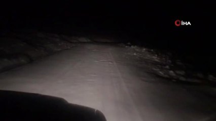 Tipide Mahsur Kalanlara Kurt Sürüsü Zor Anlar Yaşattı
