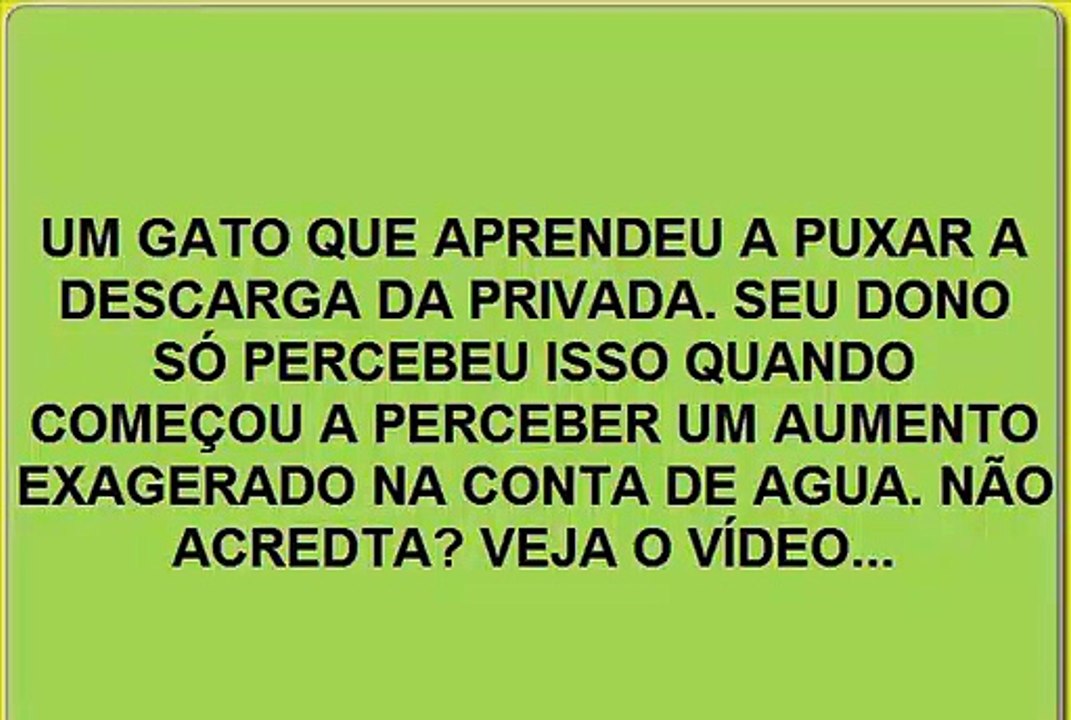 INCRIVEL! GATO APRENDE A DAR A DESCARGA NA PRIVADA