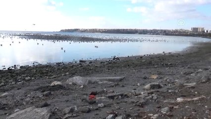 Silivri'de Deniz Çekilmesi - İstanbul