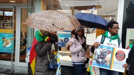 Hold- Up Electoral au Cameroun: Manifestation des Cameroun a Luxembourg