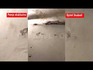 Pamje ekskluzive nga Channel One- Gjendja skandaloze e qytetit studenti
