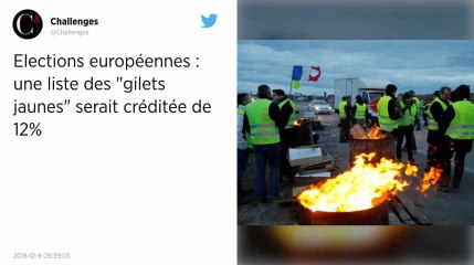 Gilets jaunes. S'ils présentaient une liste aux Européennes, ils obtiendraient 12 % des voix
