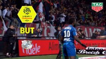 But Stiven MENDOZA (81ème) / EA Guingamp - Amiens SC - (1-2) - (EAG-ASC) / 2018-19