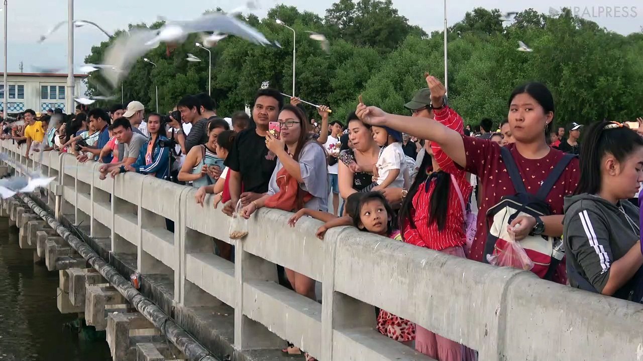 Bubble Gum Mishap While Feeding Seagulls