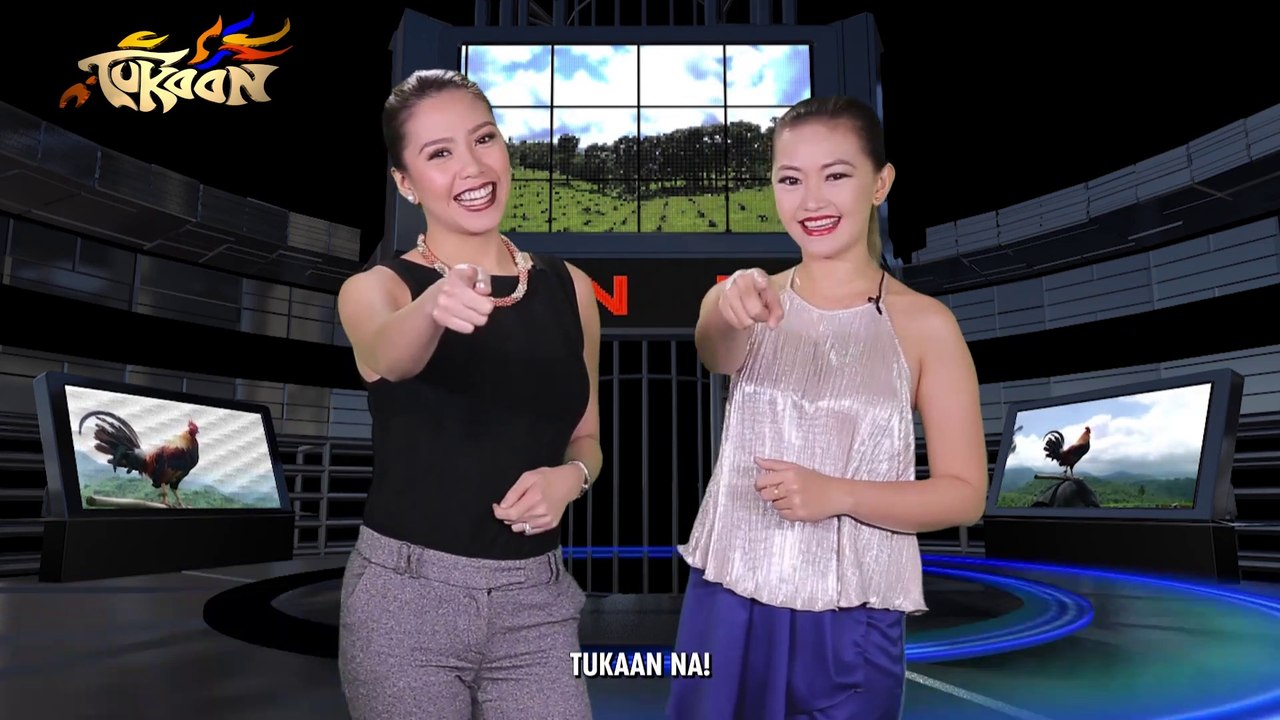 Tukaan – December 2, 2018