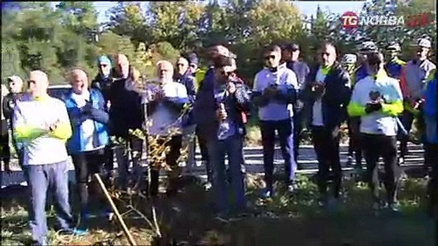 Gravina, si continua a lottare per il bosco