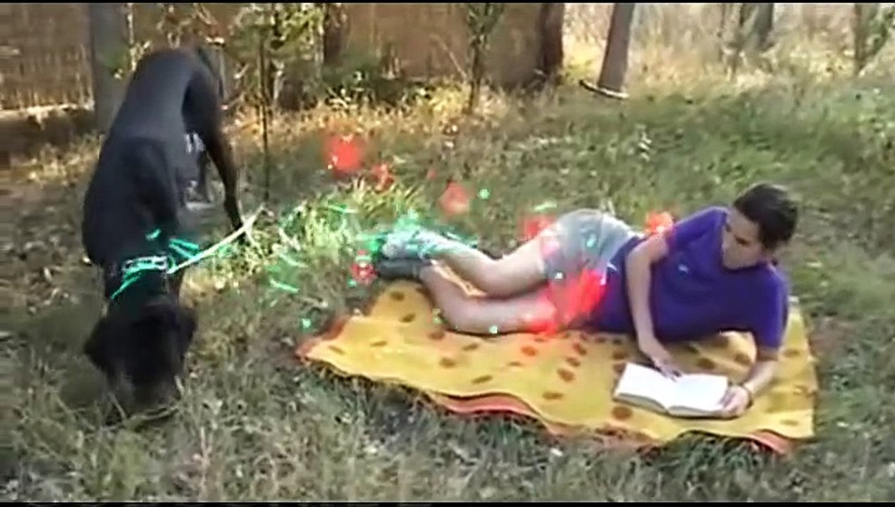 DR. Girl Playing With BIGGEST Dog - Doctor Girl With BIG Dog - Dog Checkup