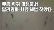 [자막뉴스] 토종 희귀 미생물서 '말라리아' 치료 해법 찾았다 / YTN