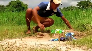 Fun factory - Simple DIY Bird Trap Make from  IZE bottle That Work 100_