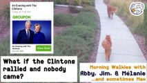 What if the Clintons rallied but nobody came? -Walkies with Abby & Max