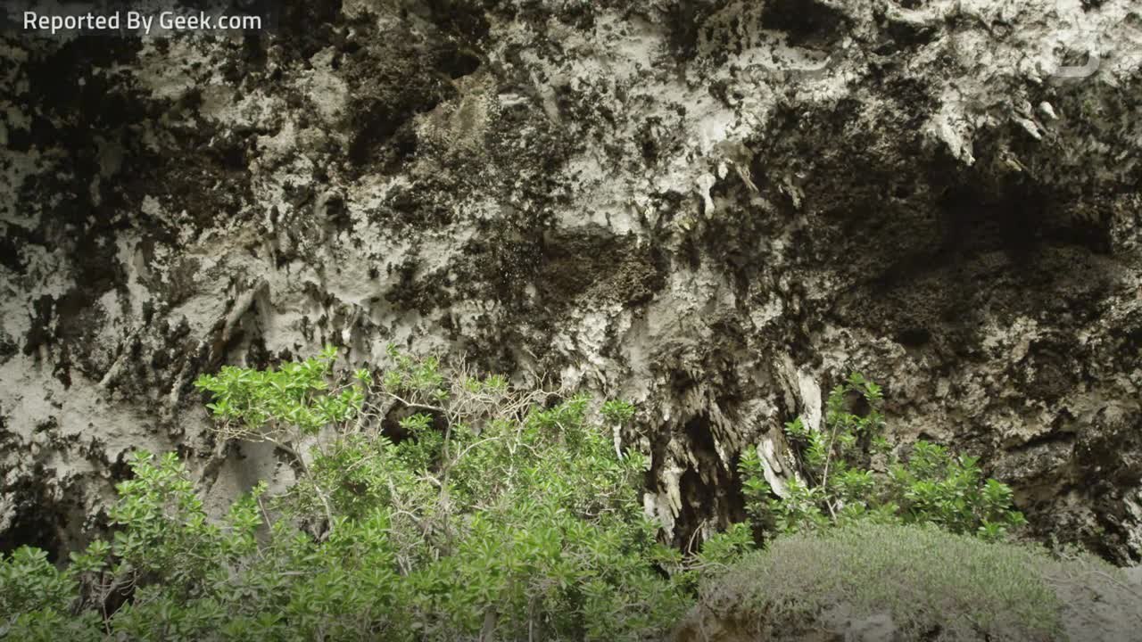 Massive Cave Discovered in Canada, Named After ‘Star Wars’ Beast